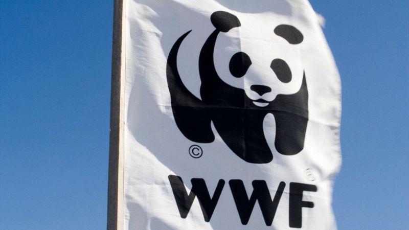 WWF