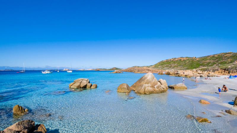 allarme-posidonia-la-maddalena-appello-governo