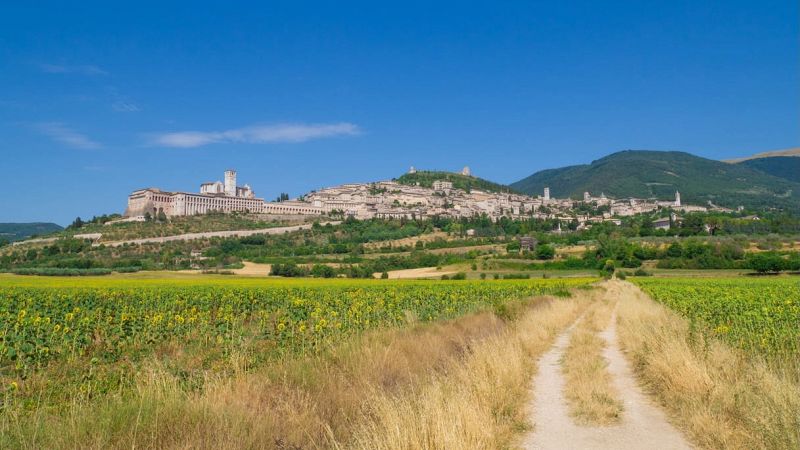 Cammino di Francesco
