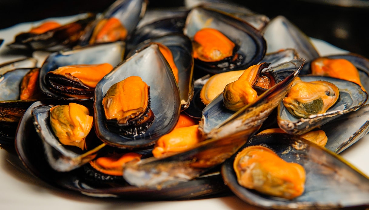 Allarme cozze in Emilia Romagna, scatta l'sos