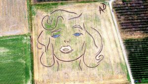 Marilyn Monroe