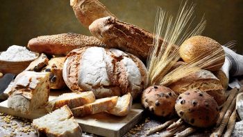 Pane