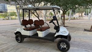 golf car Roma