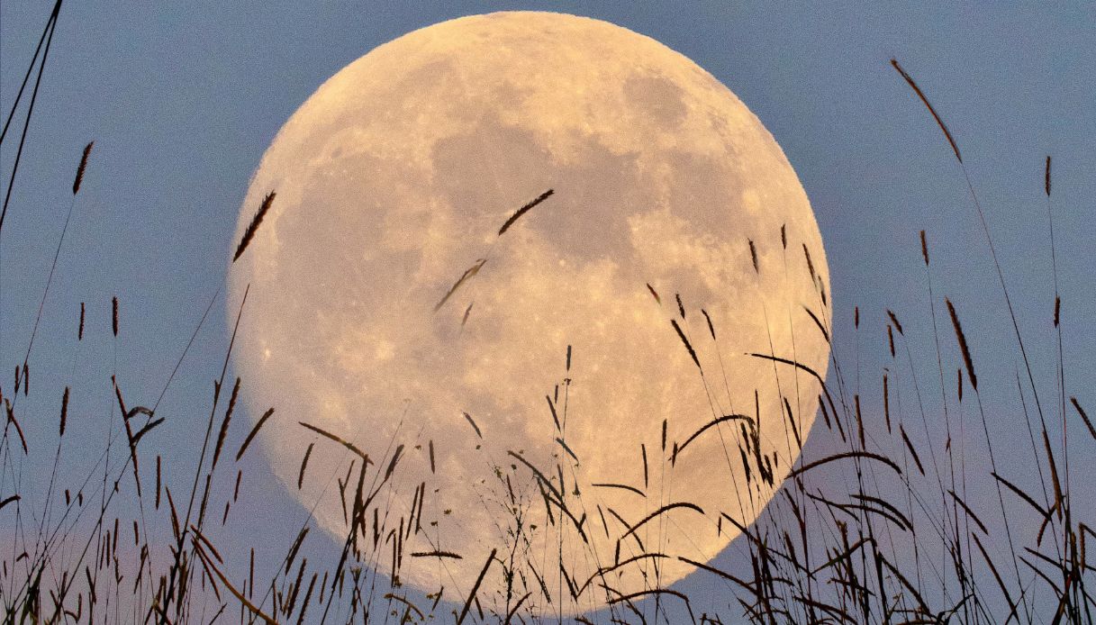 Luna piena del Raccolto, quando vederla in Italia e dove