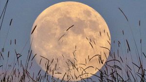 Luna piena del Raccolto