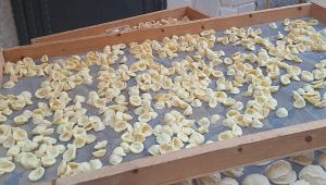 Orecchiette