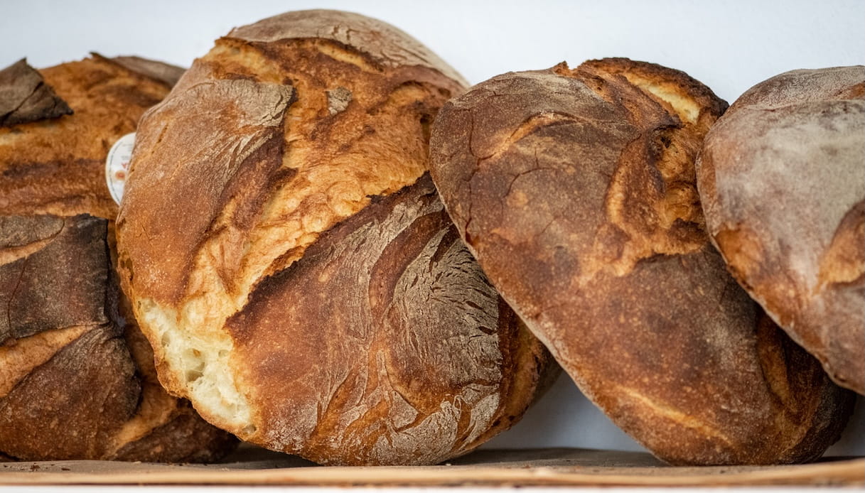 Il pane di Altamura è 