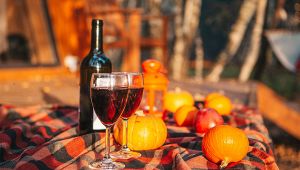 Due calici e bottiglia di vino rosso su plaid a quadri, con piccole zucche e mele in un picnic autunnale