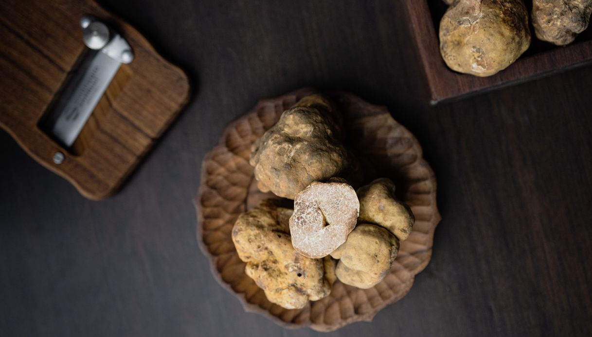 Prezzi in salita per il tartufo, quanto costa: la maxi cifra