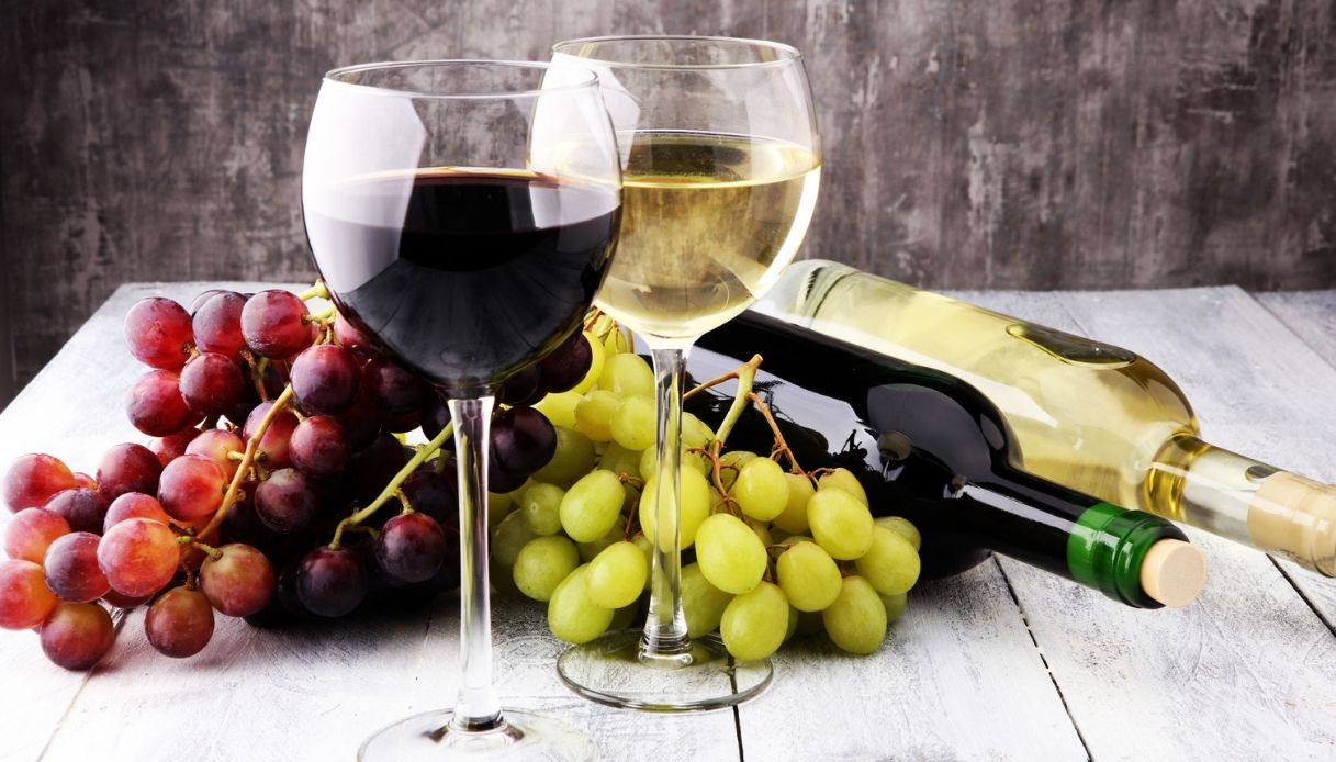 Migliori vini d'Italia regione per regione: premi Slow Wine 2027