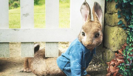 Peter Rabbit Peter Rabbit