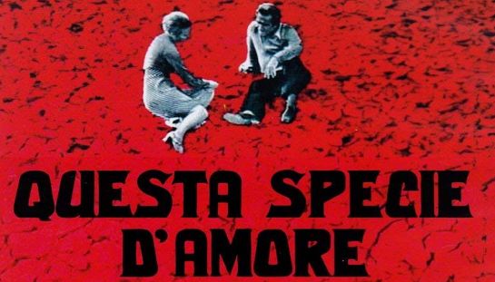 Questa specie d'amore Questa specie d'amore