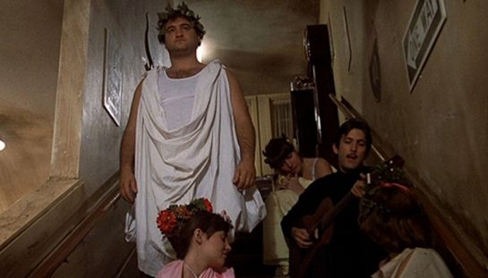 Animal house Animal house