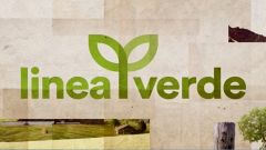 Linea Verde