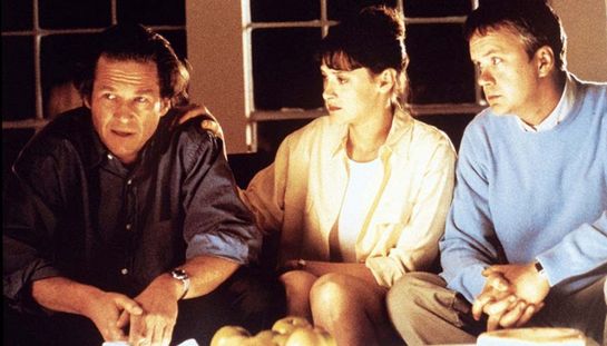 Arlington Road - L'inganno