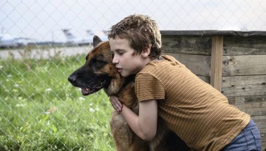 Palma, un amore di cane