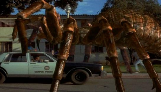 Spiders Spiders