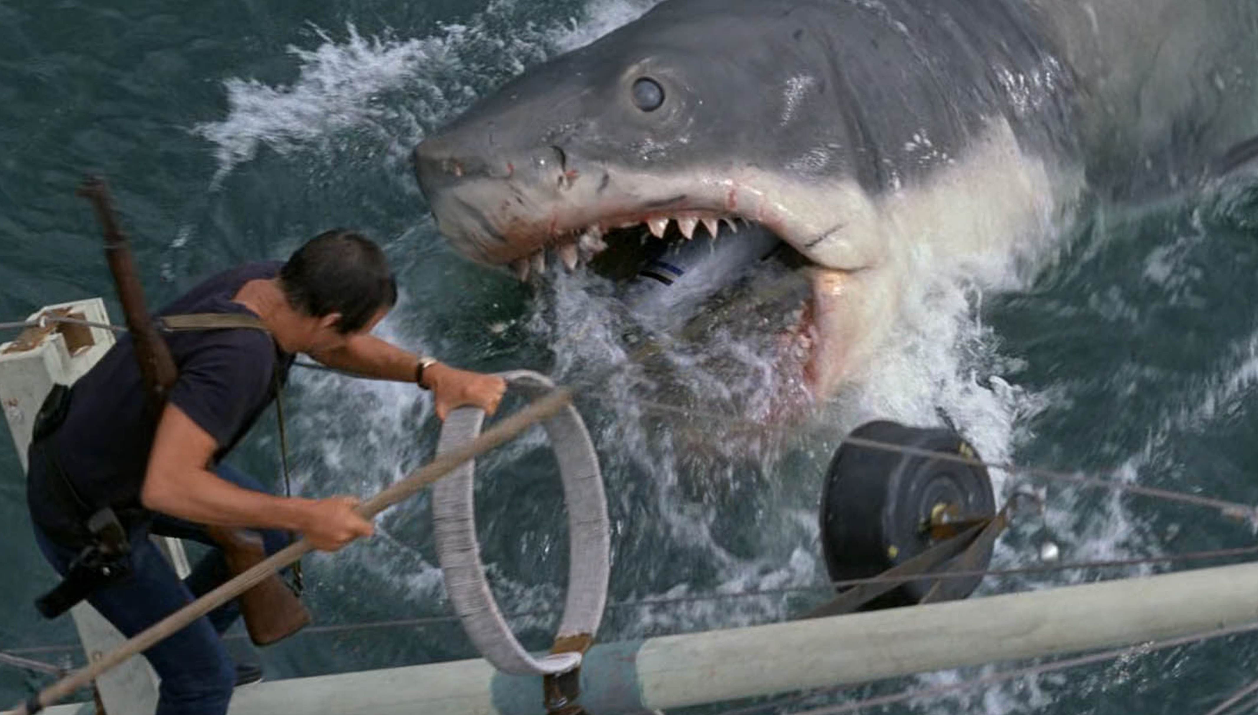 Ужасы про акул новинки