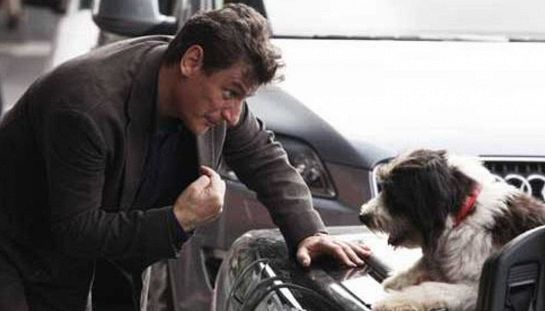 Un cane per due Un cane per due