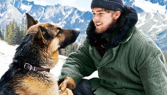 Il richiamo della foresta Il richiamo della foresta