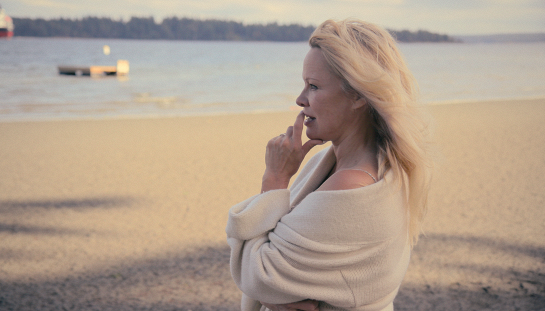 Pamela, a love story