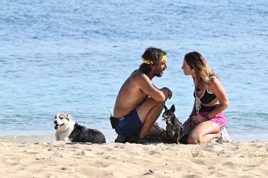 La proposta di Marco Mazzoli