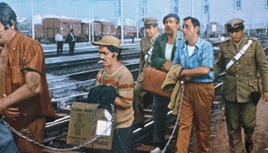 Detenuto in attesa di giudizio Detenuto in attesa di giudizio