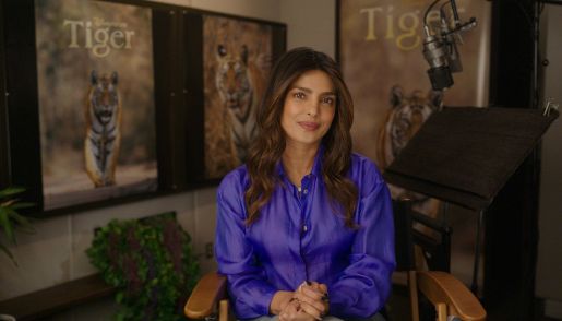 Backstage di Tiger