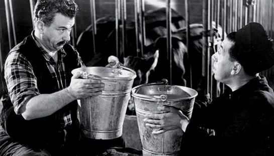 Don Camillo Don Camillo