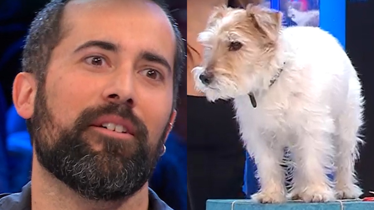 Affari Tuoi, il pompiere Enrico brucia una vincita mostruosa: finale atroce, “Rimarrà segnato a vita”