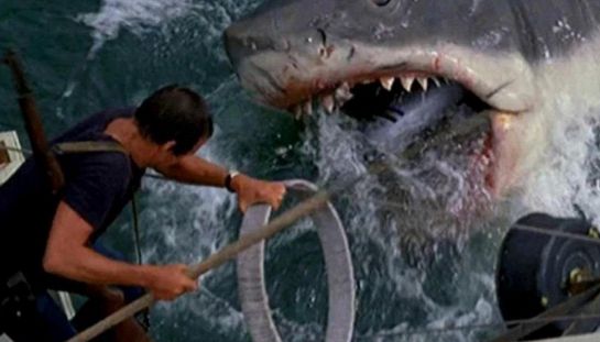 Lo Squalo, su Disney+ tutti i dietro le quinte più incredibili del film di Steven Spielberg per il 50° anniversario Disney+ arriva Lo Squalo, dove vedere i film in streaming