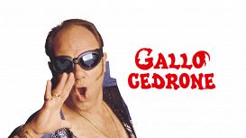 gallo-cedrone.jpg