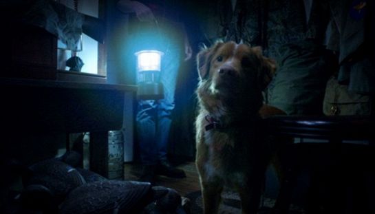 Midnight Factory porta in streaming un horror al centro della polemica