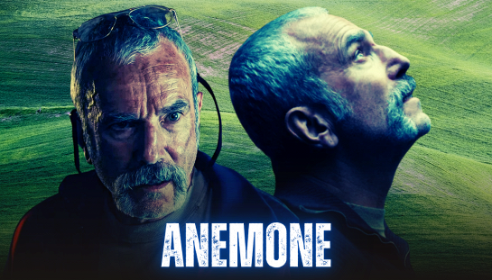 Film al cinema, Libere Recensioni - Anemone