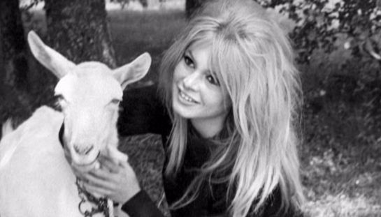 Brigitte Bardot