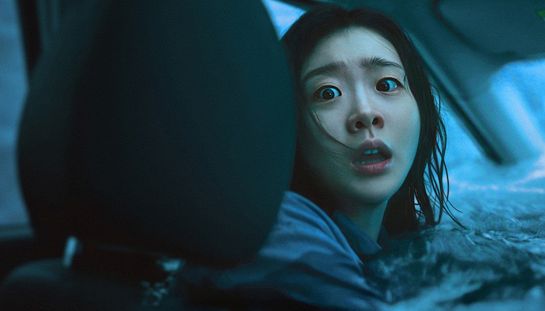 The Great Flood, storia vera, trama e cast del nuovo film coreano in streaming su Netflix
