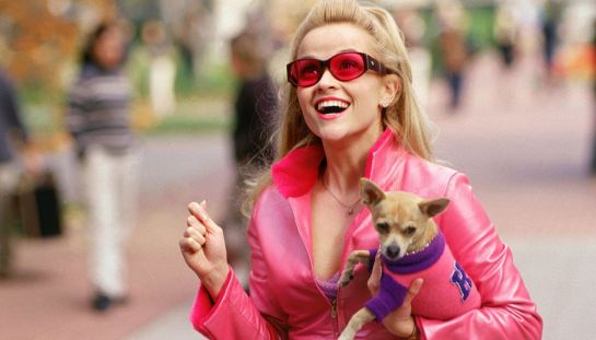 Quando esce Elle? Annuncio bomba sulla serie prequel di La rivincita delle bionde