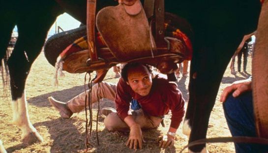 Scappo dalla città - La vita, l'amore e le vacche