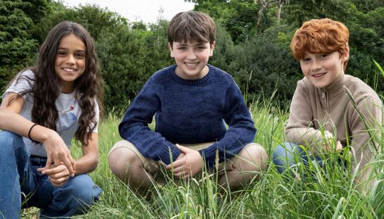 Harry Potter - Serie