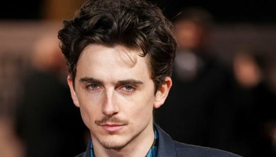 Oscar 2026, Timothée Chalamet tra i grandi esclusi, tutti i film snobbati
