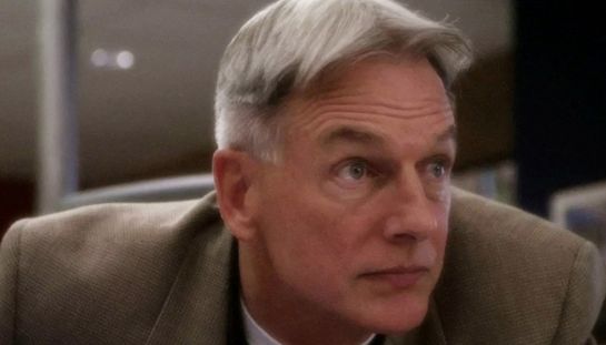 Mark Harmon, le serie tv cult prima di NCIS