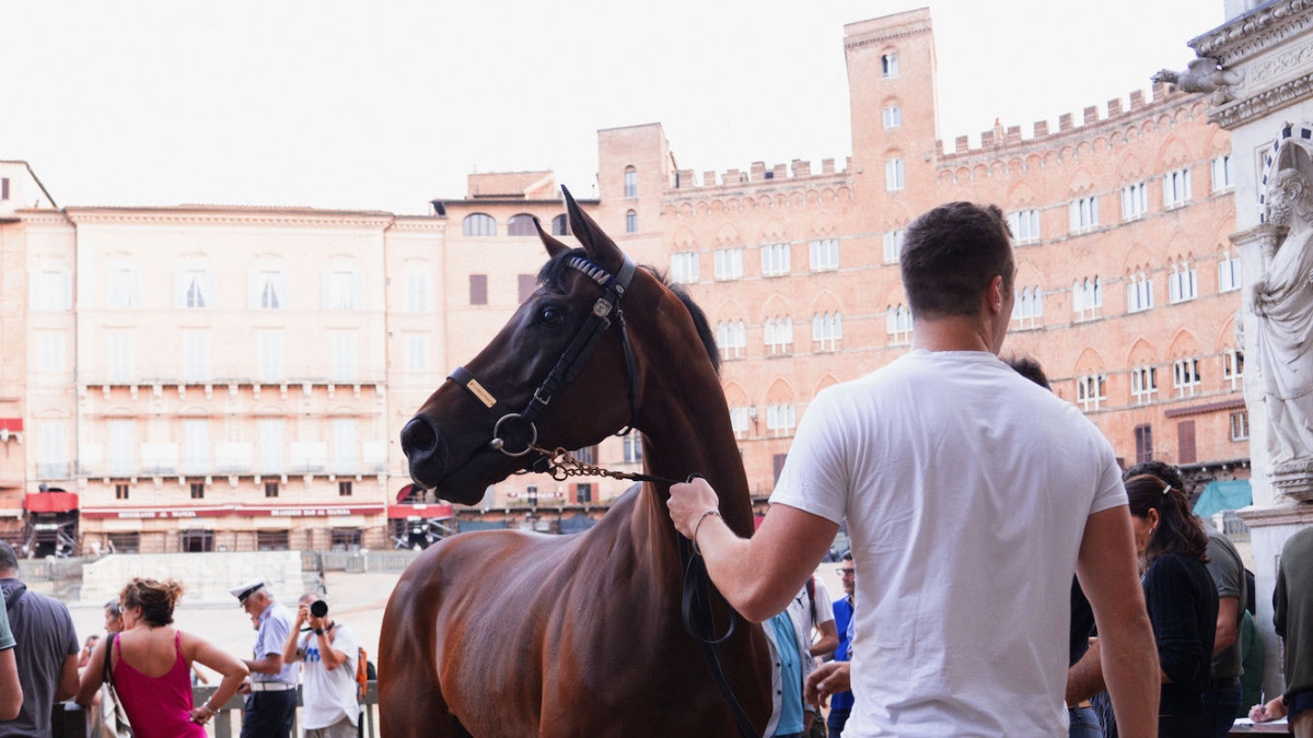 https://wips.plug.it/cips/libero.it/magazine/cms/2026/08/palio_di_siena_2026_dove_vederlo_in_tv.jpeg