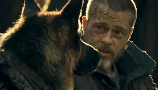Bard Pitt film cane Odino