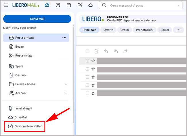 Dove si trova il pannello di Gestione Newsletter su Libero Mail