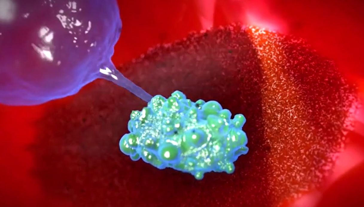 Li Produce Il Sangue Per Neutralizzare Le Tossine