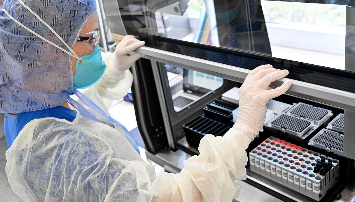 Coronavirus, quando arriverà il vaccino: la previsione ...