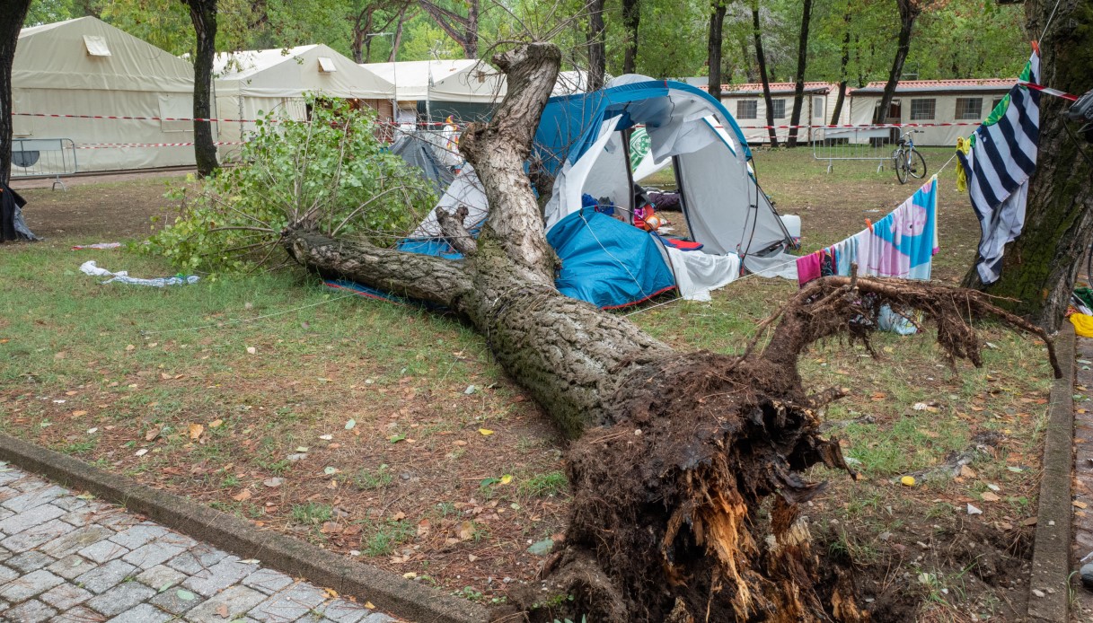 Cade Un Albero Su Una Tenda In Campeggio Morte Due Bambine Virgilionotizie