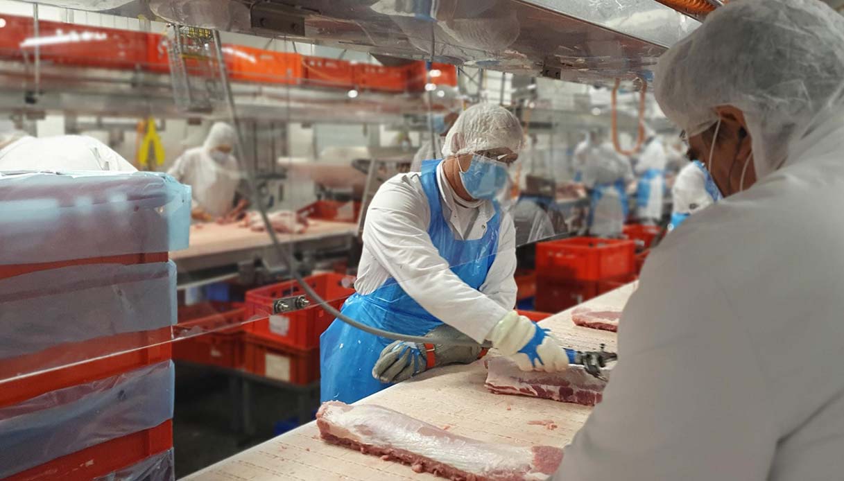 Covid, i luoghi dove si rischia di più il contagio: i macelli