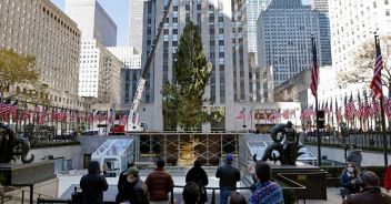 new-york-spelacchio
