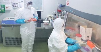 Variante coronavirus